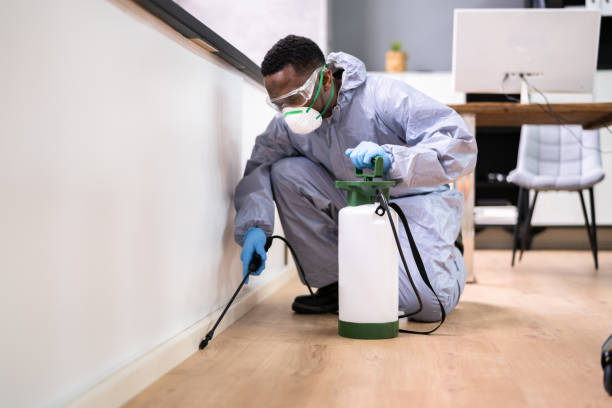 Best Pest Prevention Services  in Kulpmont, PA